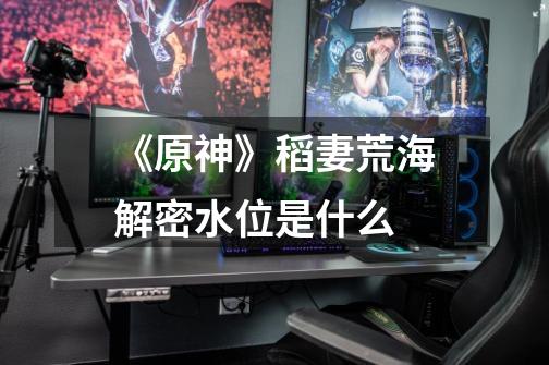 《原神》稻妻荒海解密水位是什么-第1张-游戏信息-龙启网