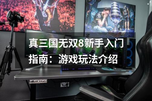 真三国无双8新手入门指南:游戏玩法介绍-第1张-游戏信息-龙启网