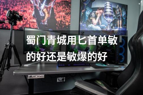 蜀门青城用匕首单敏的好还是敏爆的好-第1张-游戏信息-龙启网