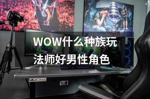 WOW什么种族玩法师好男性角色-第1张-游戏信息-龙启网