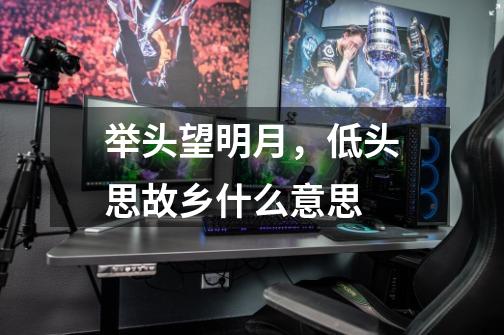 举头望明月,低头思故乡什么意思-第1张-游戏信息-龙启网