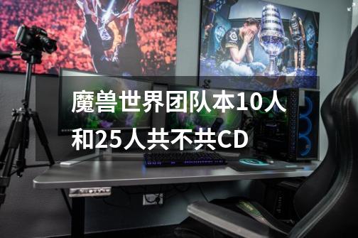 魔兽世界团队本10人和25人共不共CD-第1张-游戏信息-龙启网