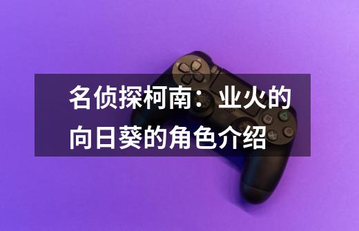 名侦探柯南:业火的向日葵的角色介绍-第1张-游戏信息-龙启网