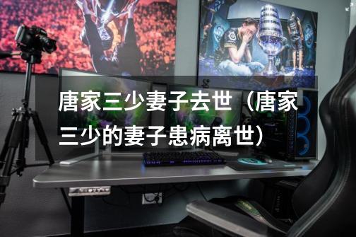 唐家三少妻子去世(唐家三少的妻子患病离世)-第1张-游戏信息-龙启网