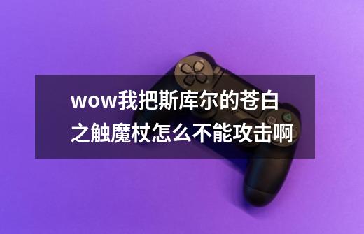 wow我把斯库尔的苍白之触魔杖怎么不能攻击啊-第1张-游戏信息-龙启网