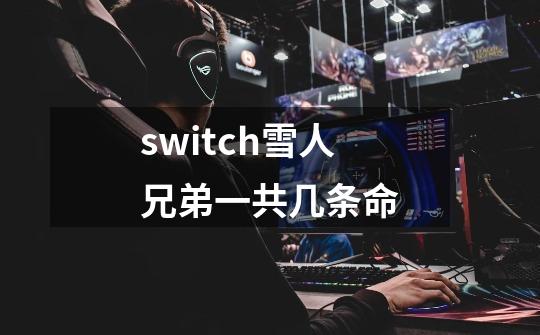 switch雪人兄弟一共几条命-第1张-游戏信息-龙启网