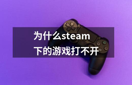 为什么steam下的游戏打不开-第1张-游戏信息-龙启网