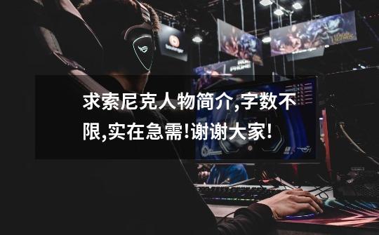 求索尼克人物简介,字数不限,实在急需!谢谢大家!-第1张-游戏信息-龙启网