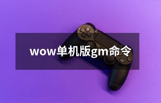 wow单机版gm命令-第1张-游戏信息-龙启网