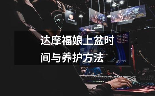 达摩福娘上盆时间与养护方法-第1张-游戏信息-龙启网
