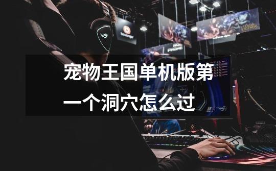 宠物王国单机版第一个洞穴怎么过-第1张-游戏信息-龙启网