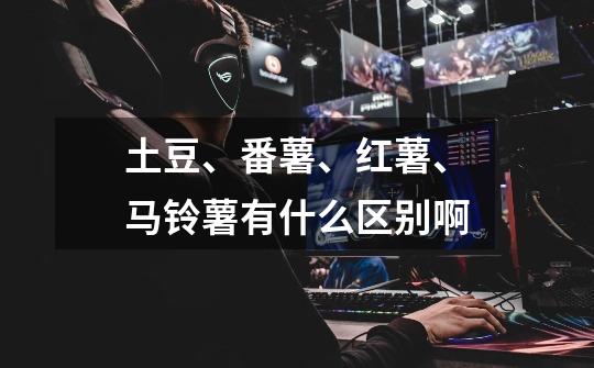 土豆、番薯、红薯、马铃薯有什么区别啊-第1张-游戏信息-龙启网