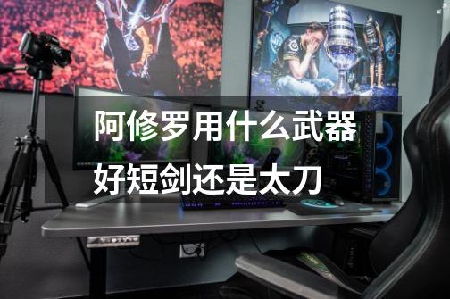 阿修罗用什么武器好短剑还是太刀-第1张-游戏信息-龙启网