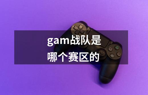 gam战队是哪个赛区的-第1张-游戏信息-龙启网