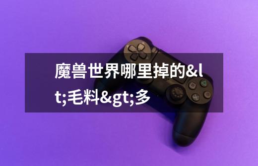 魔兽世界哪里掉的<毛料>多-第1张-游戏信息-龙启网