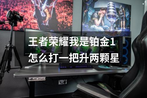 王者荣耀我是铂金1怎么打一把升两颗星-第1张-游戏信息-龙启网
