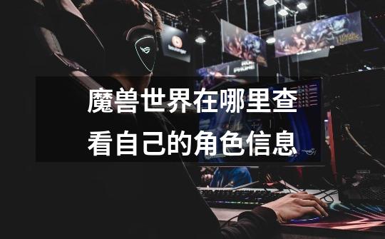 魔兽世界在哪里查看自己的角色信息-第1张-游戏信息-龙启网