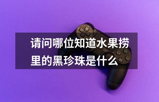 请问哪位知道水果捞里的黑珍珠是什么-第1张-游戏信息-龙启网