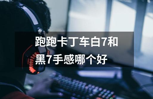 跑跑卡丁车白7和黑7手感哪个好-第1张-游戏信息-龙启网