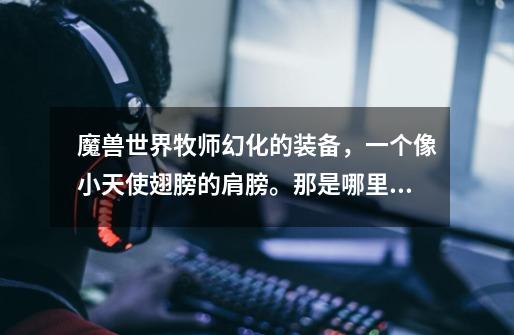 魔兽世界牧师幻化的装备，一个像小天使翅膀的肩膀。那是哪里掉落的-第1张-游戏信息-龙启网