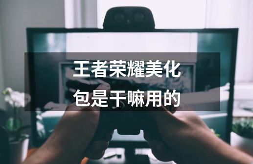 王者荣耀美化包是干嘛用的-第1张-游戏信息-龙启网