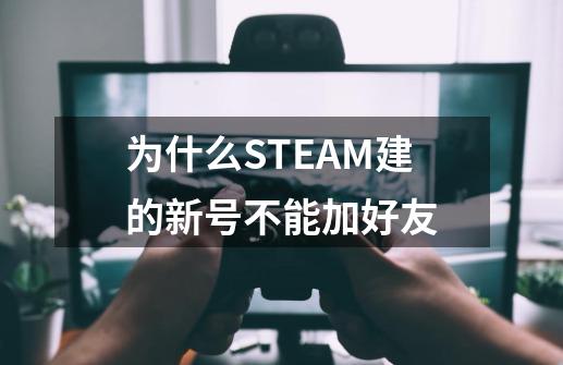 为什么STEAM建的新号不能加好友-第1张-游戏信息-龙启网