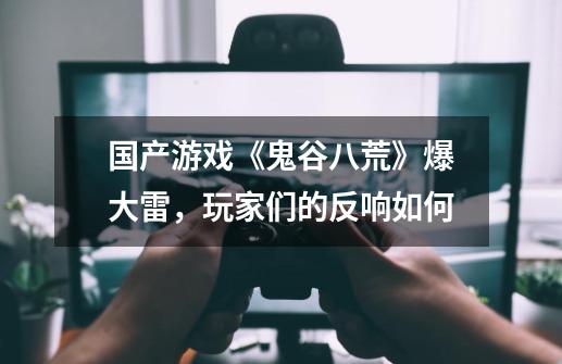 国产游戏《鬼谷八荒》爆大雷,玩家们的反响如何-第1张-游戏信息-龙启网