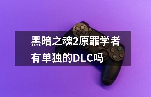 黑暗之魂2原罪学者有单独的DLC吗-第1张-游戏信息-龙启网