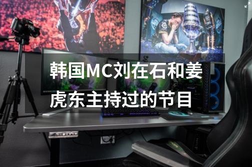 韩国MC刘在石和姜虎东主持过的节目-第1张-游戏信息-龙启网