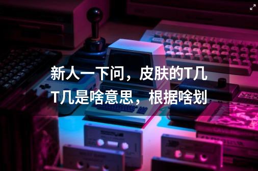 新人一下问,皮肤的T几T几是啥意思,根据啥划-第1张-游戏信息-龙启网