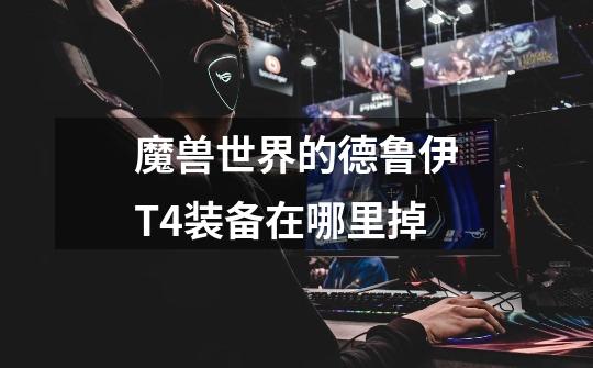 魔兽世界的德鲁伊T4装备在哪里掉-第1张-游戏信息-龙启网