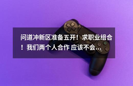 问道冲新区准备五开!求职业组合!我们两个人合作 应该不会太累!-第1张-游戏信息-龙启网