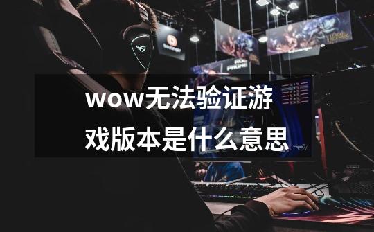 wow无法验证游戏版本是什么意思-第1张-游戏信息-龙启网