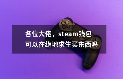 各位大佬，steam钱包可以在绝地求生买东西吗-第1张-游戏信息-龙启网