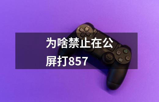 为啥禁止在公屏打857-第1张-游戏信息-龙启网
