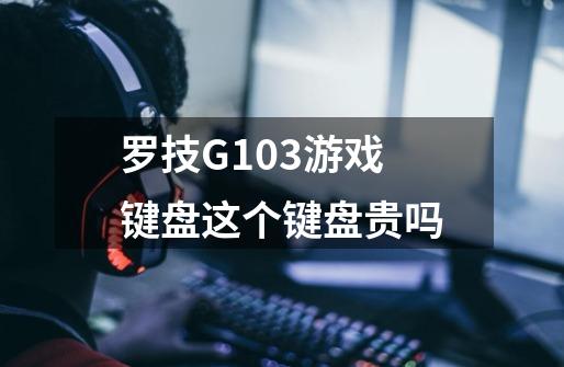 罗技G103游戏键盘这个键盘贵吗-第1张-游戏信息-龙启网