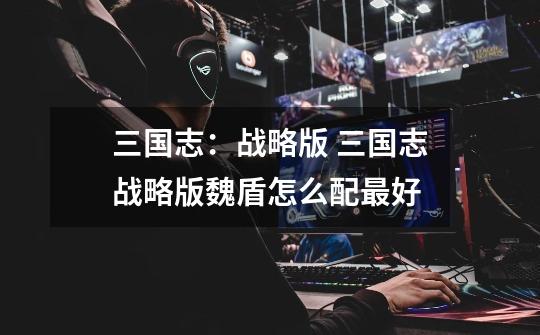 三国志:战略版 三国志战略版魏盾怎么配最好-第1张-游戏信息-龙启网