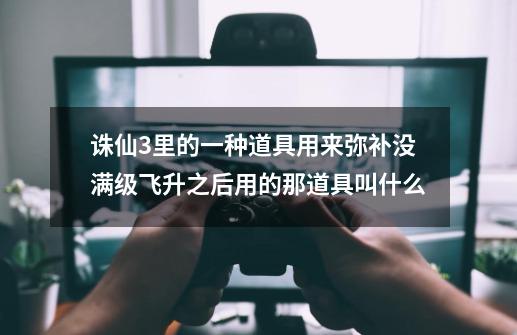 诛仙3里的一种道具用来弥补没满级飞升之后用的那道具叫什么-第1张-游戏信息-龙启网