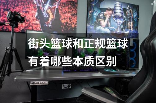 街头篮球和正规篮球有着哪些本质区别-第1张-游戏信息-龙启网