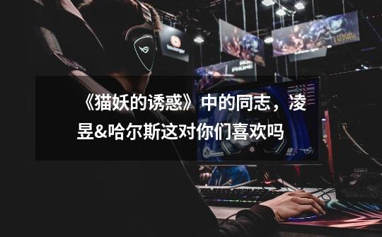 《猫妖的诱惑》中的同志,凌昱&哈尔斯这对你们喜欢吗-第1张-游戏信息-龙启网