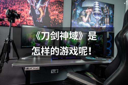 《刀剑神域》是怎样的游戏呢!-第1张-游戏信息-龙启网
