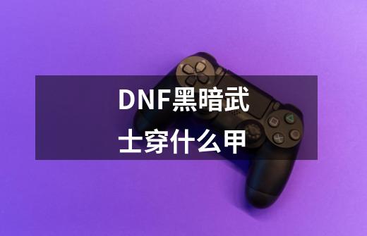 DNF黑暗武士穿什么甲-第1张-游戏信息-龙启网