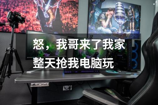怒，我哥来了我家整天抢我电脑玩-第1张-游戏信息-龙启网