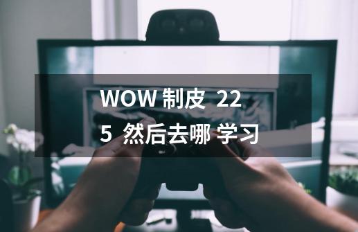 WOW 制皮 225 然后去哪 学习-第1张-游戏信息-龙启网
