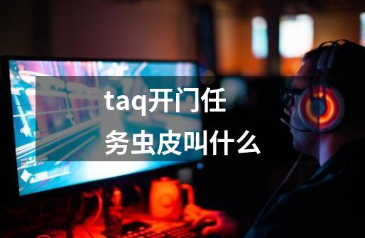 taq开门任务虫皮叫什么-第1张-游戏信息-龙启网