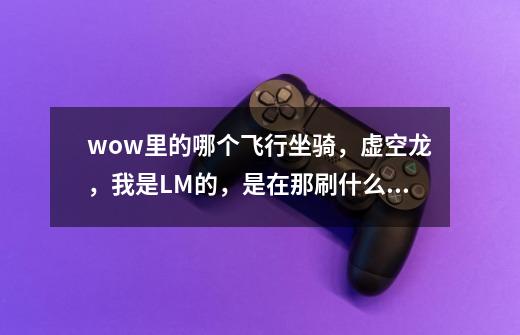 wow里的哪个飞行坐骑,虚空龙,我是LM的,是在那刷什么声望弄得-第1张-游戏信息-龙启网
