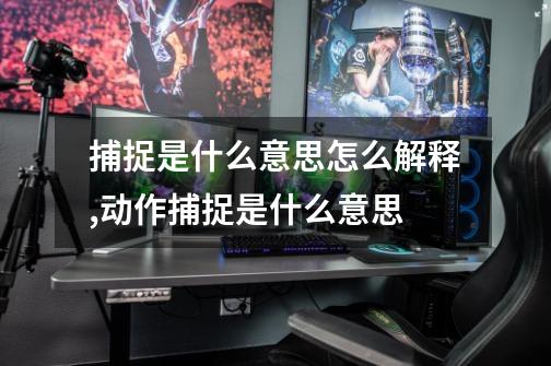 捕捉是什么意思怎么解释,动作捕捉是什么意思-第1张-游戏信息-龙启网
