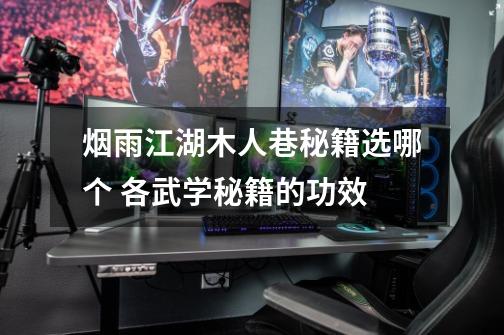 烟雨江湖木人巷秘籍选哪个 各武学秘籍的功效-第1张-游戏信息-龙启网