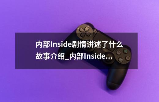 内部Inside剧情讲述了什么故事介绍_内部Inside剧情讲述了什么故事是什么-第1张-游戏信息-龙启网