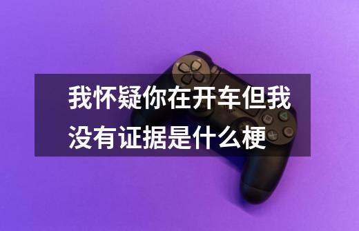 我怀疑你在开车但我没有证据是什么梗-第1张-游戏信息-龙启网